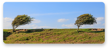 Resilienzen aufbauen im digitalen Bereich